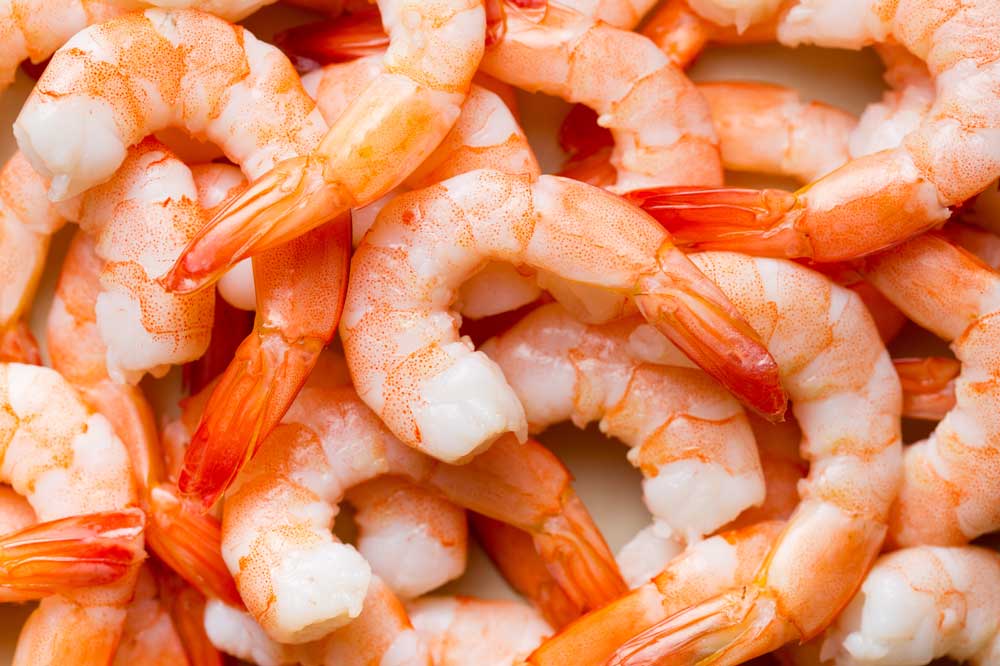 Seafood