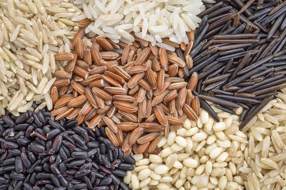 Rice Grains